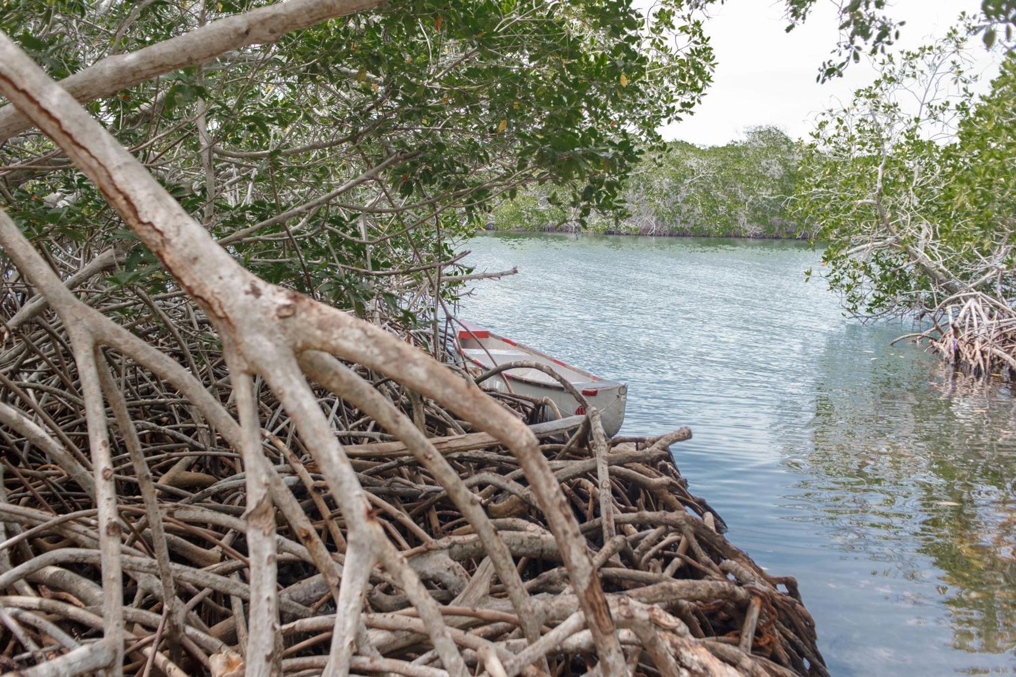 Isla Grande Eco-Hostal מראה חיצוני תמונה